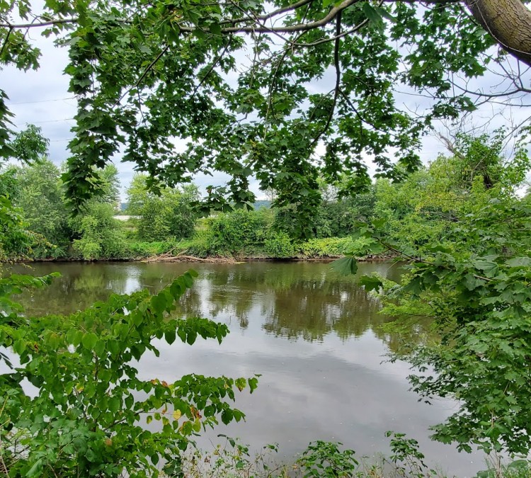 Delaware and Raritan Canal State Park Trail, South Bound Brook, NJ (South&nbspBound&nbspBrook,&nbspNJ)